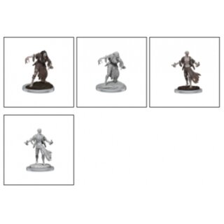 D&D Nolzur's Marvelous Miniatures: Nosferatu