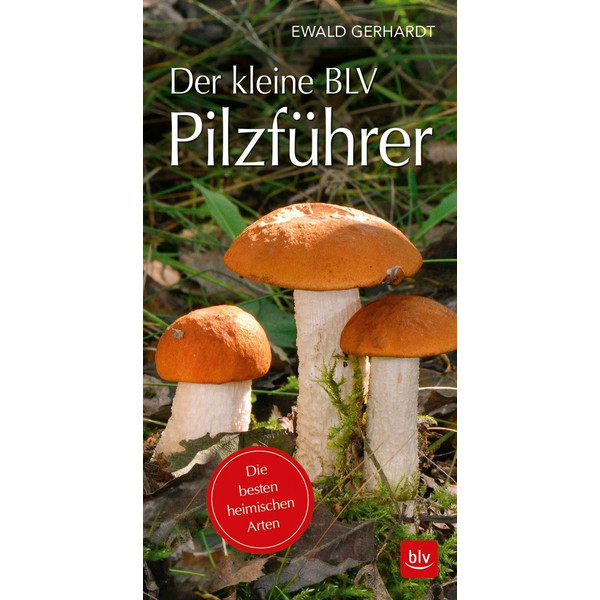 DER KLEINE BLV PILZFÜHRER - Ratgeber