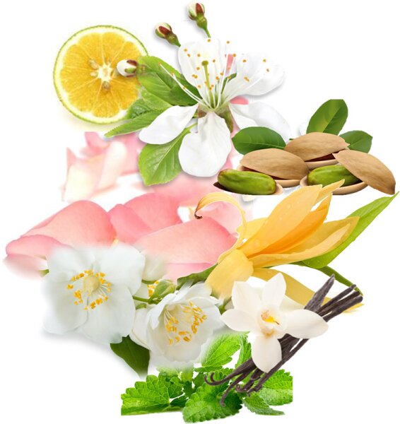 Trussardi Pure Jasmine Eau de Parfum