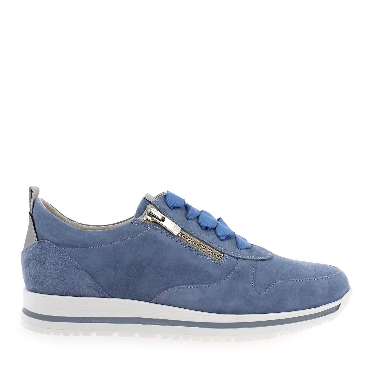 Dorking  D8763 - Bleu