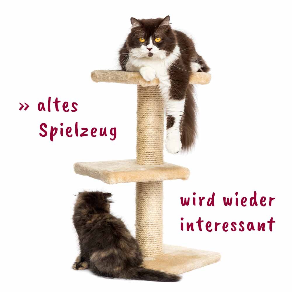 feliTATZ Baldrian & Catnipspielzeug feliTATZ KatzenMinze Spray