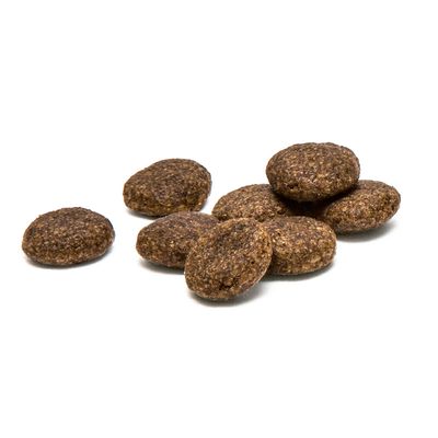 ProDen PlaqueOff croq-bites für Katzen