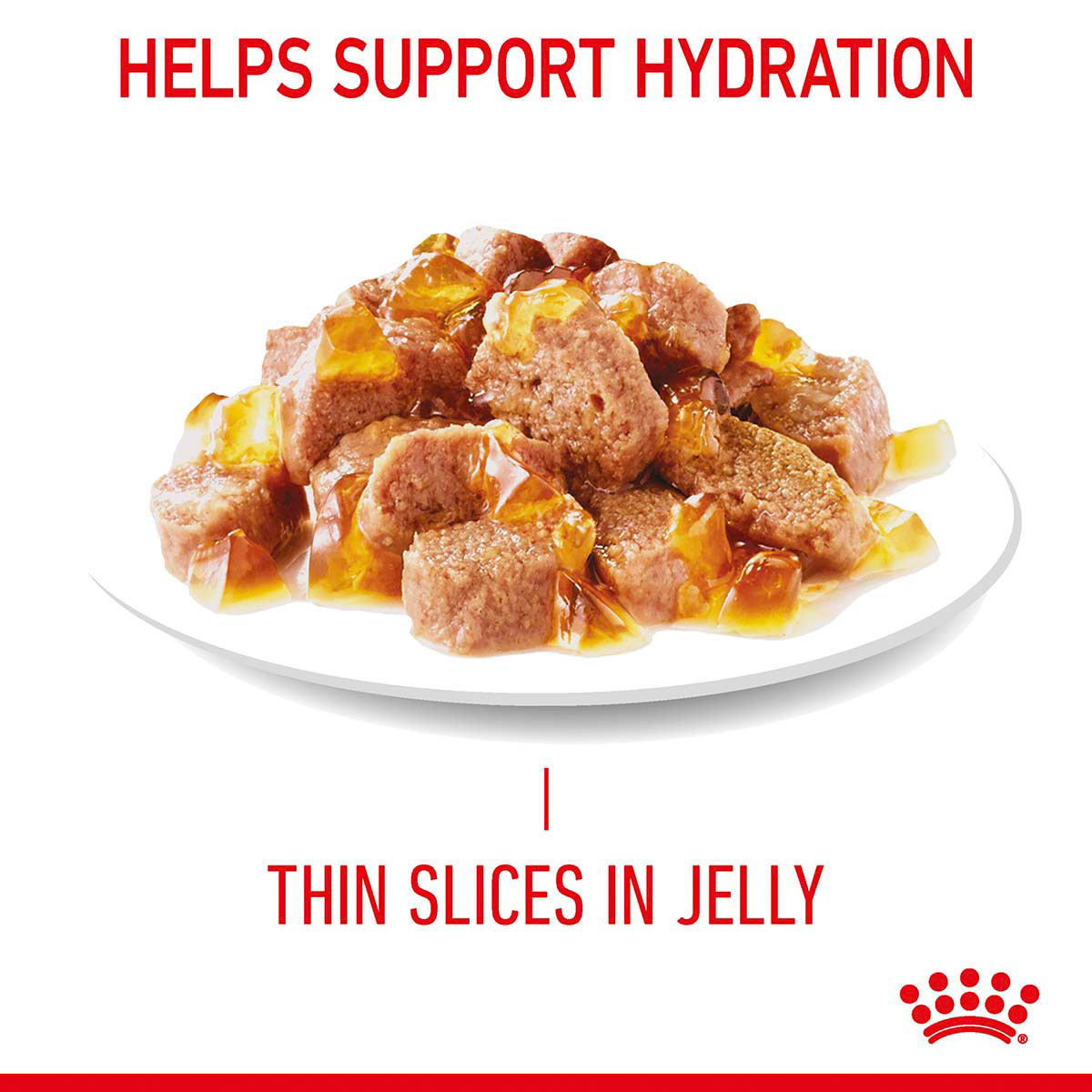 Royal Canin FCN Hair & Skin Jelly günstig kaufen