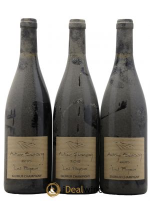 Saumur-Champigny Les Poyeux Antoine Sanzay  2015 - Lot de 3 Bouteilles