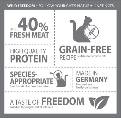 Wild Freedom Kitten 