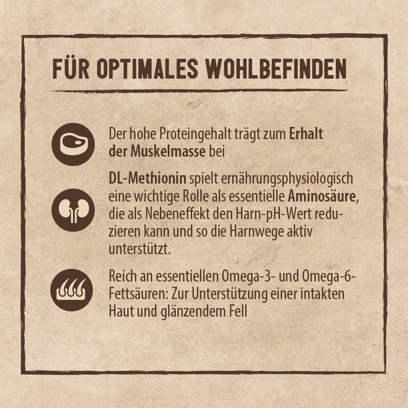 Purizon Adult Kabeljau - Urgetreide zu TOP-Preisen