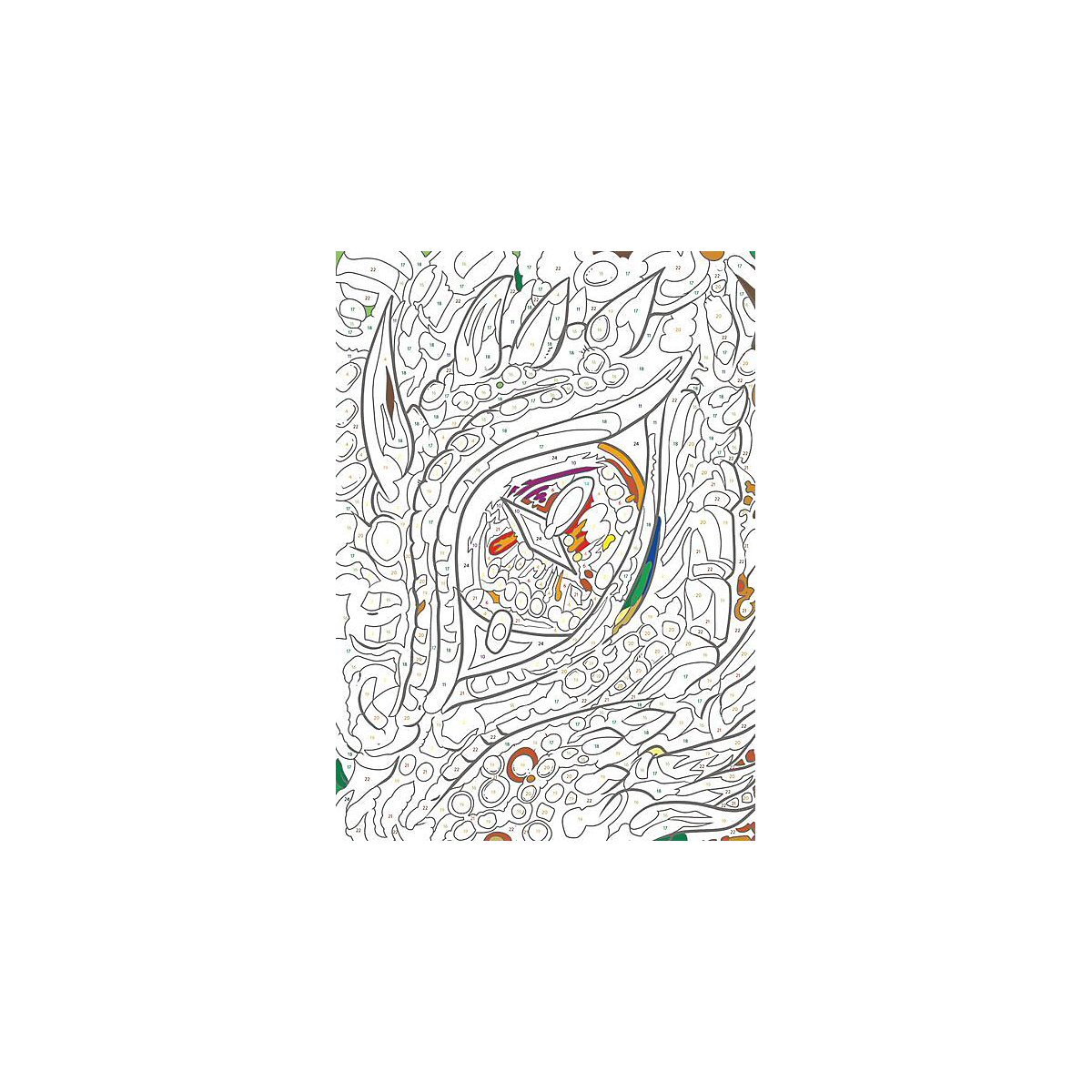 Ravensburger Malen nach Zahlen Drachen - 64 Seiten - 24 Farben - Malbuch mit nummerierten Ausmalfeldern für fortgeschrittene Fans der Reihe
