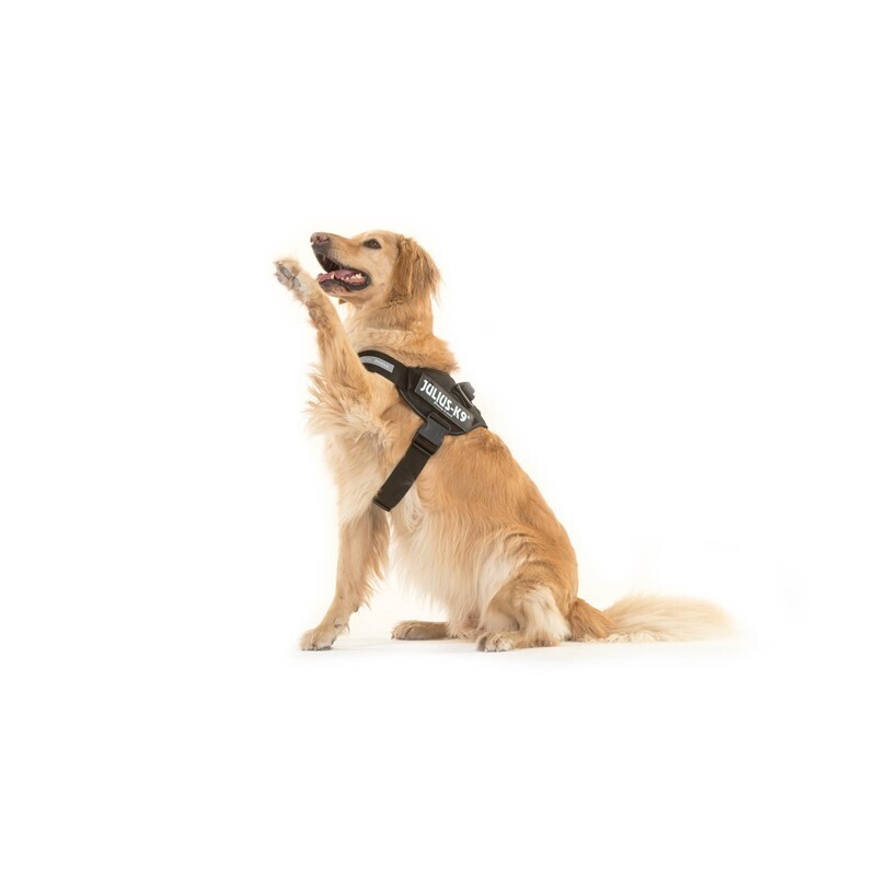 JULIUS-K9 Hundegeschirre JULIUS-K9 IDC Powergeschirr L