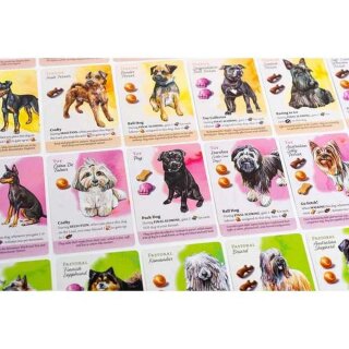 Dog Park (Standard Edition) (EN)