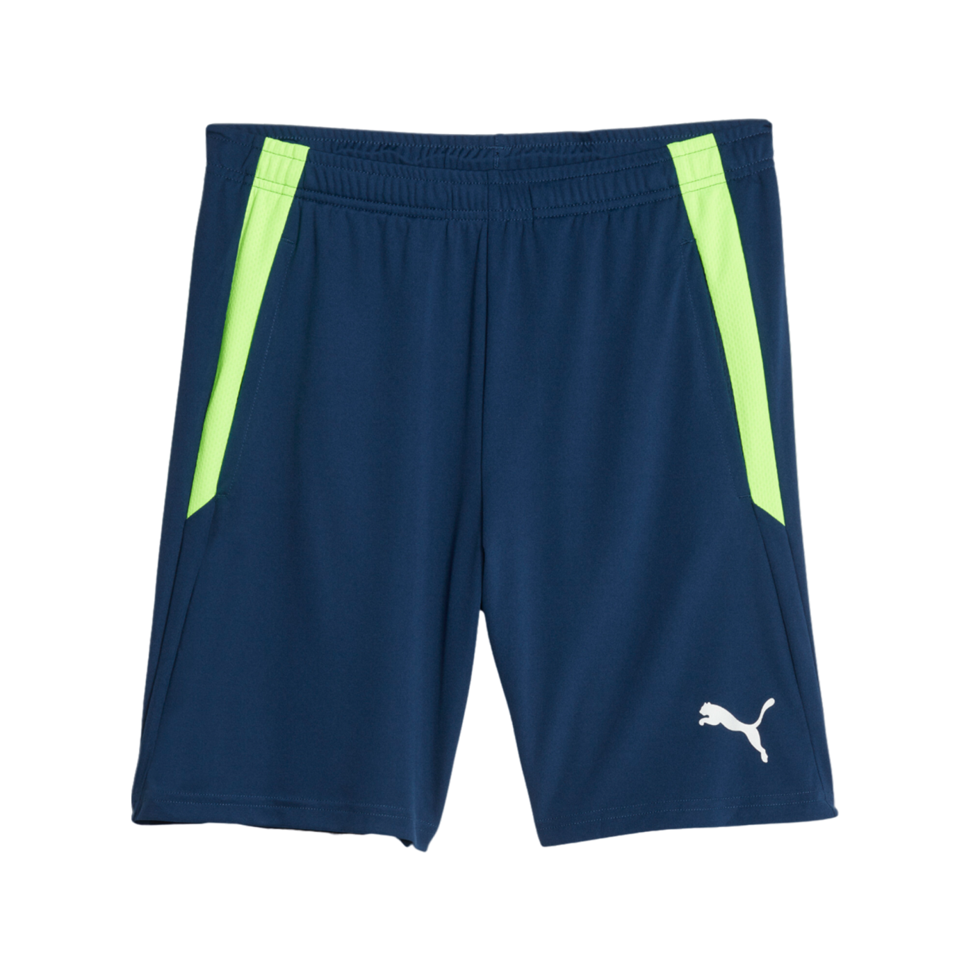 PUMA teamLIGA 2 Short Blau F54