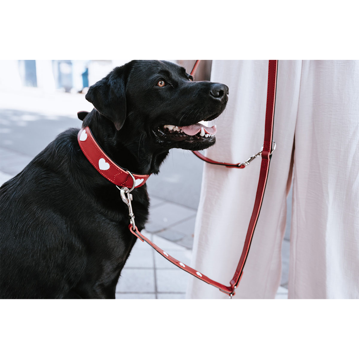 Hunter Halsband Love rot/schwarz günstig kaufen bei ZooRoyal