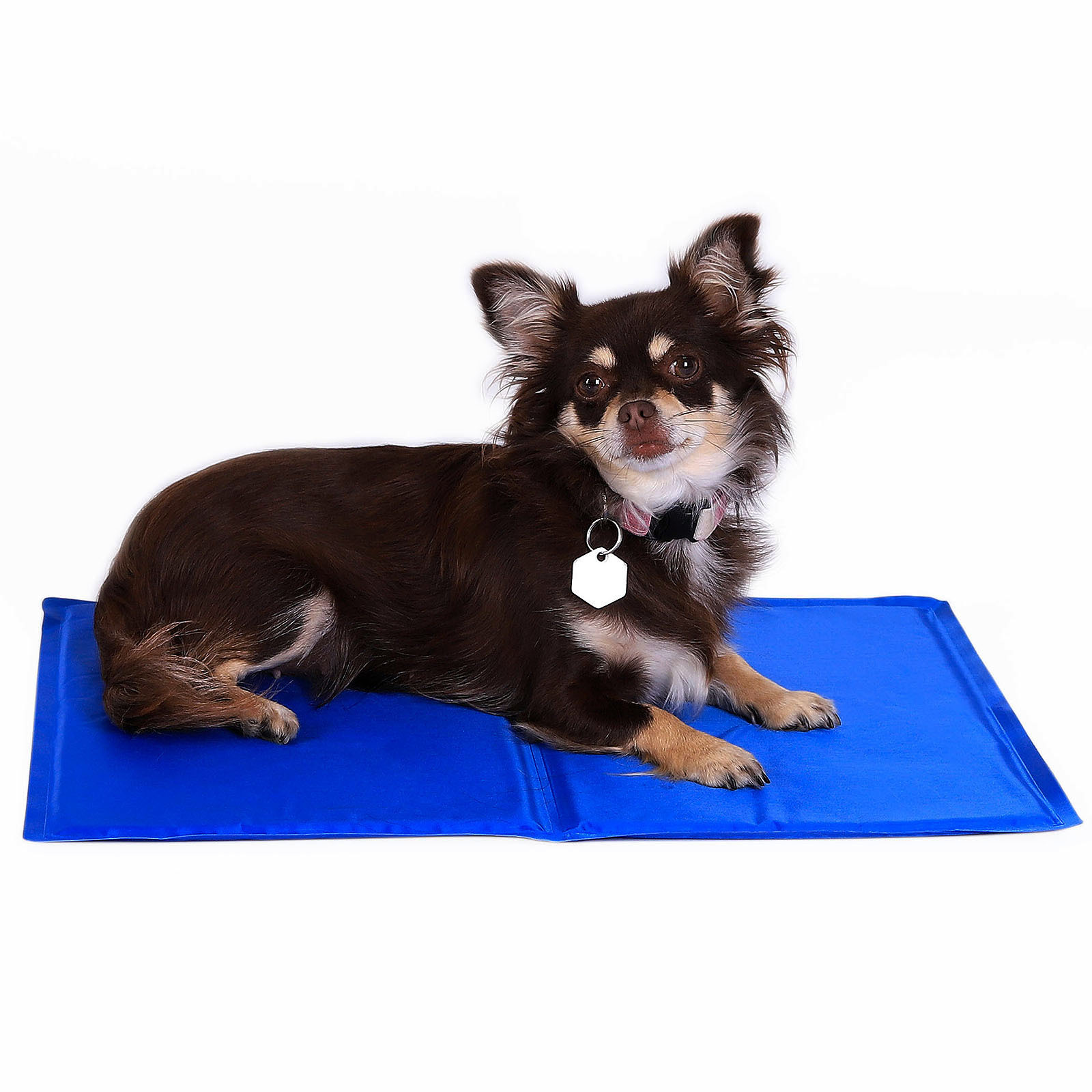 Lionto Hundematten Lionto Selbstkühlende Liegematte für Haustiere S
