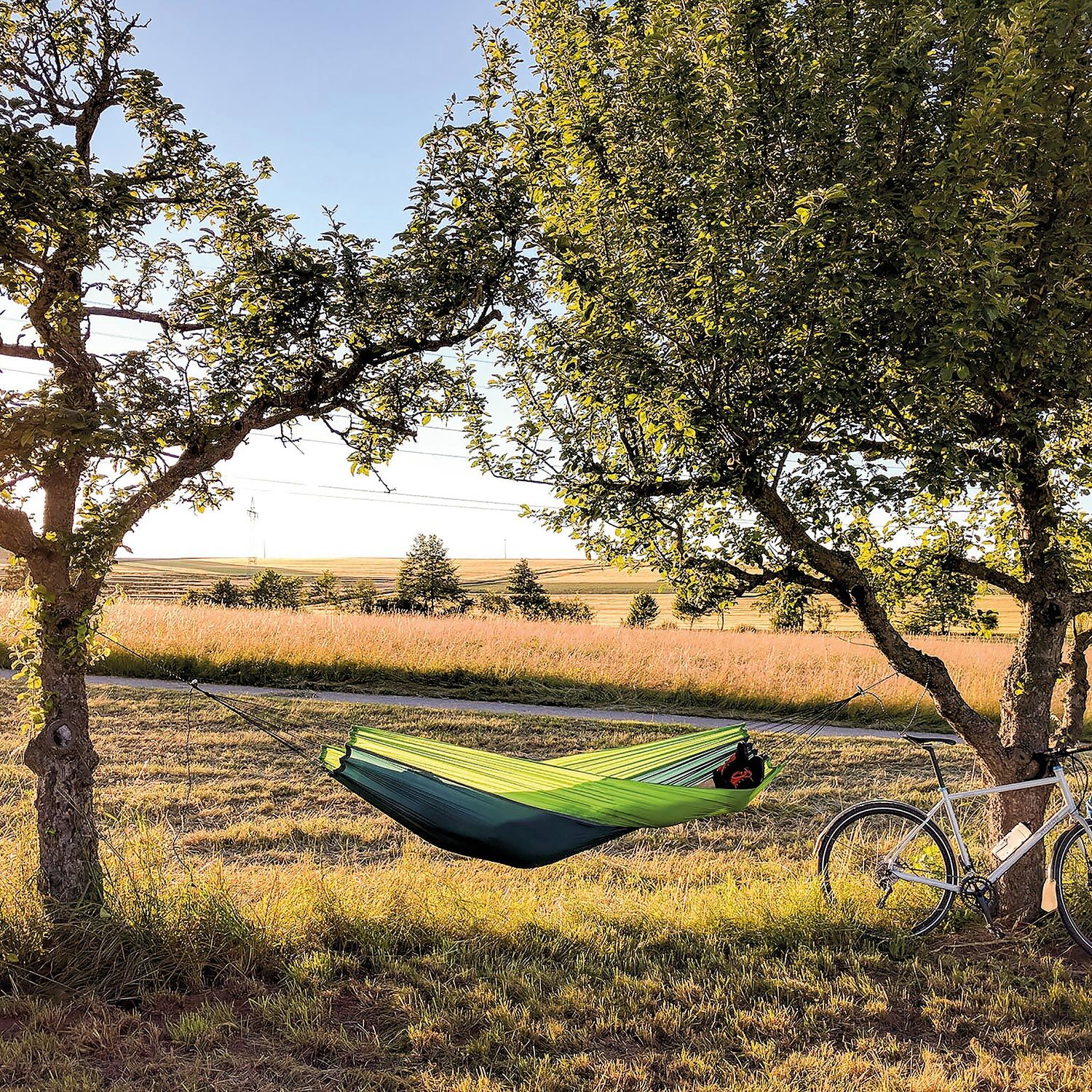 Hängematte Silk Traveller forest
