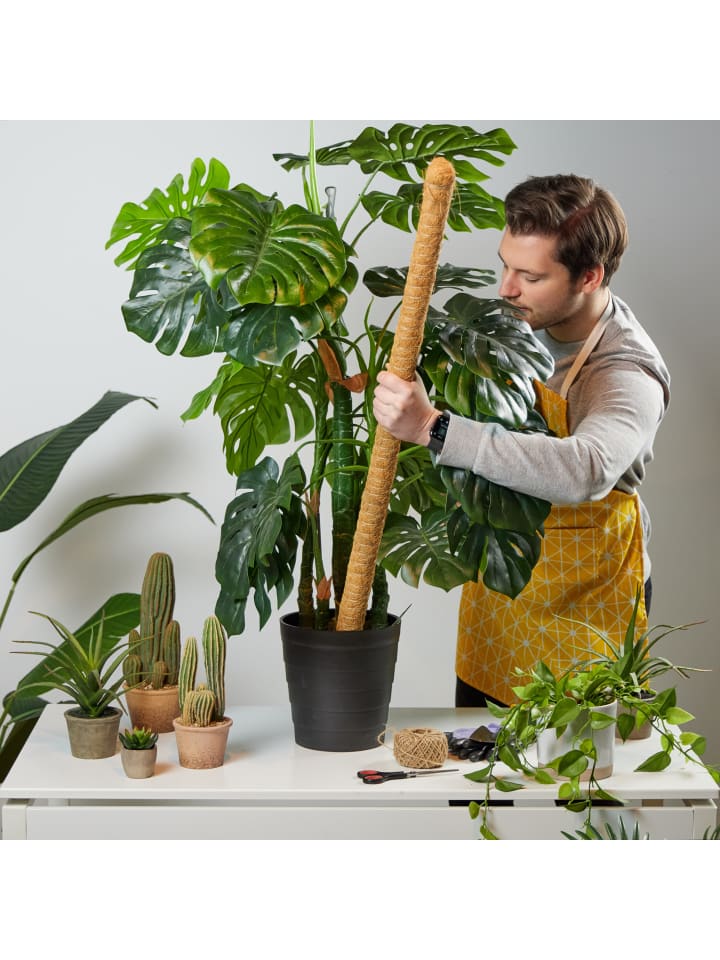 relaxdays 5x Kokosstäbe in Natur - 90 cm günstig kaufen onesize