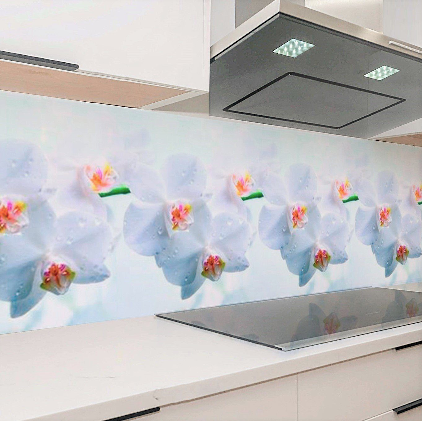 Rodnik Küchenrückwand Orchideen, robuste Kunststoff Platte Monolith in PREMIUM Qualität
