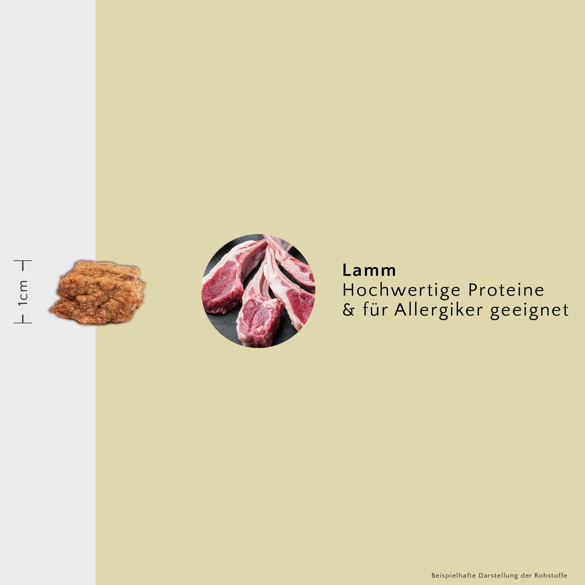 FAVLY Petfood Snacks FAVLY Petfood PURE Bites Lamm 360 g