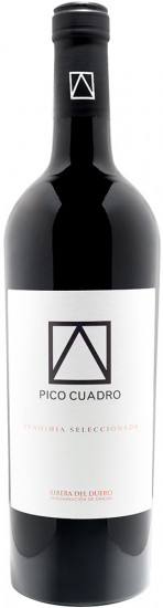 2019 Vendimia Seleccionada Ribera del Duero DO trocken - Pico Cuadro