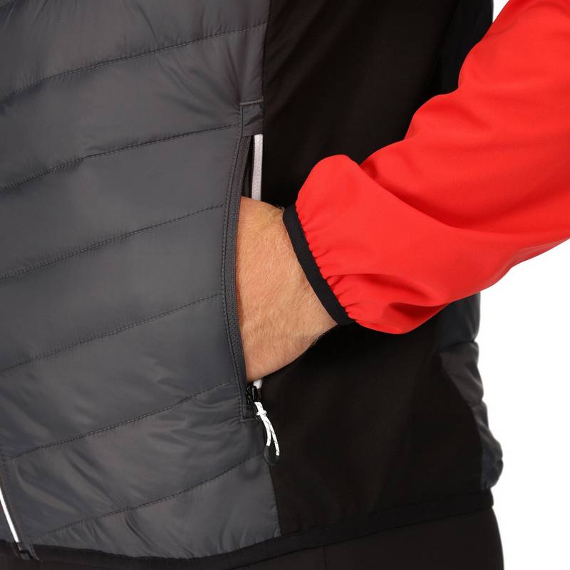 Regatta Steren Funktionsjacke Herren