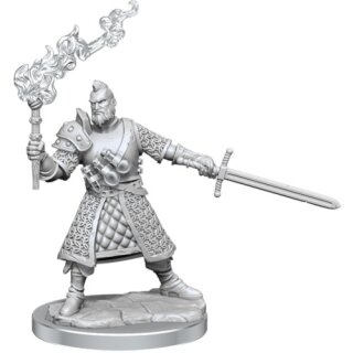 D&D Frameworks: Human Fighter Male