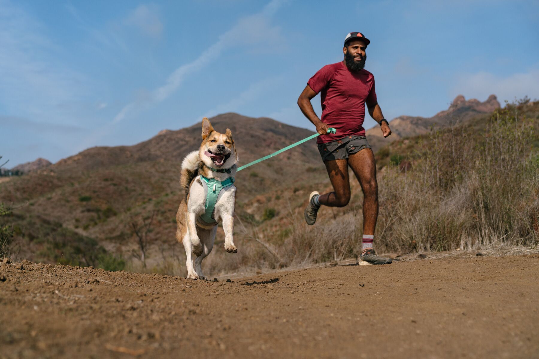 Ruffwear Hundeleinen Ruffwear Hi & Light™ Leine grün