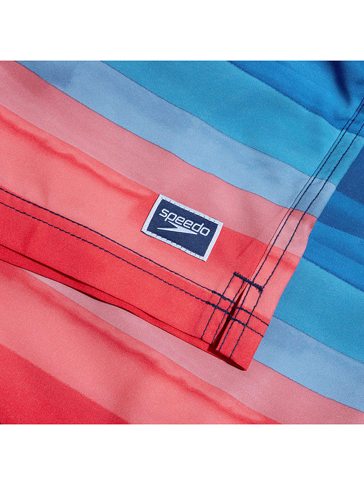 Speedo Badeshorts in Blau günstig kaufen