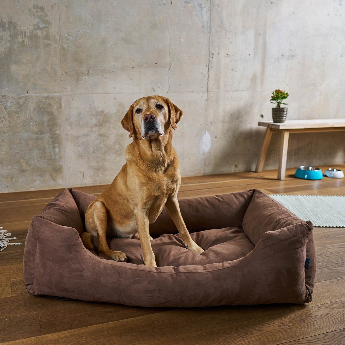 ZooRoyal Hundebett Dream braun günstig kaufen