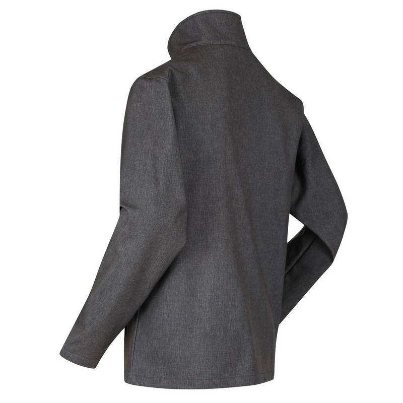Regatta Cera V Softshelljacke Herren