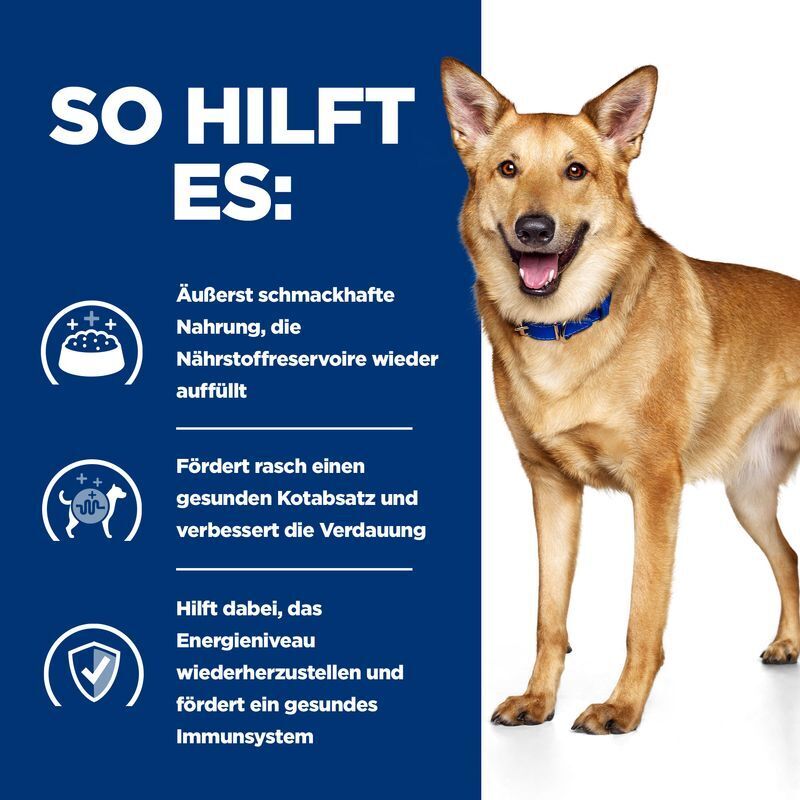 Hill's Schonkost Hill's Prescription Diet Digestive Care i/d mit Huhn 2x12 kg