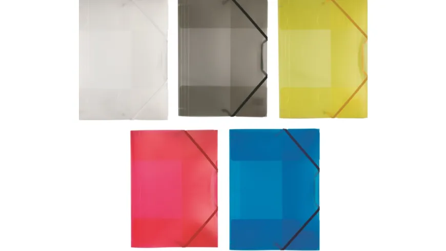 folia Sammelmappe mit Eckspanner A4 transparent sortiert transparent
