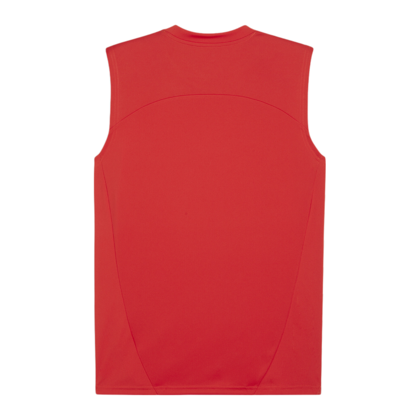 PUMA teamFINAL Tanktop Rot F01
