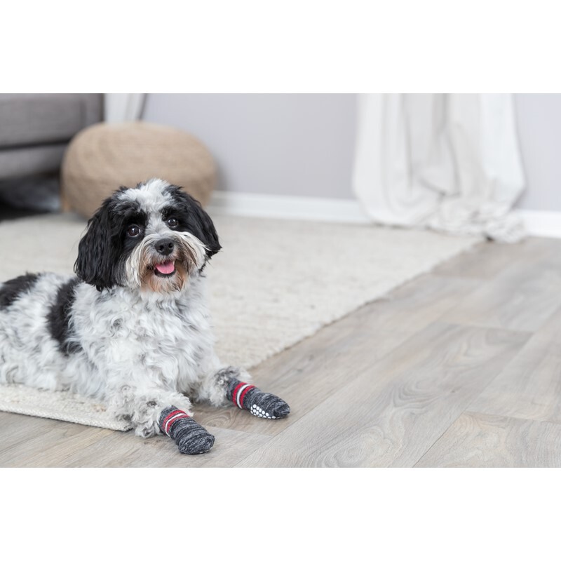 Trixie Hundeschuhe Trixie Hundesocken 2 Stück, Größe L