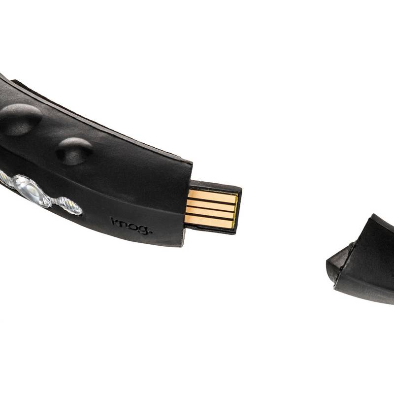 Knog Bandicoot Stirnlampe LED