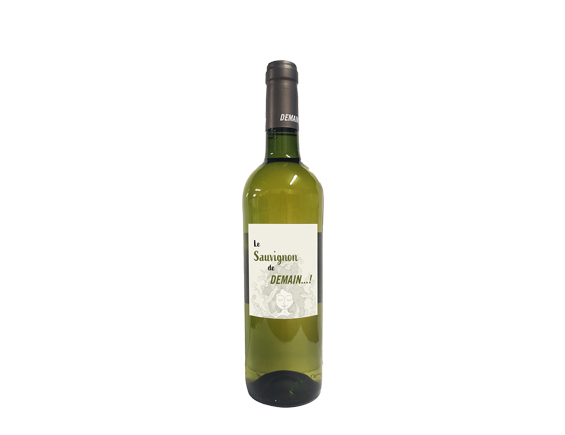 Domaine de Gournier Demain! Sauvignon Blanc 2021 Languedoc-Roussillon Cévennes