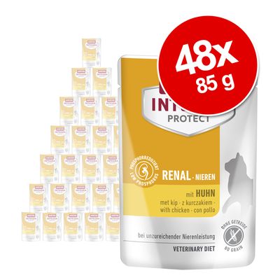 Sparpaket Animonda Integra Protect Adult Renal 48 x 85 g
