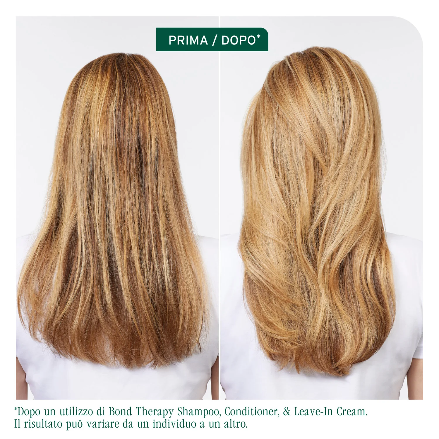 Acondicionador Bond Therapy - Acondicionador revitalizante para el cabello