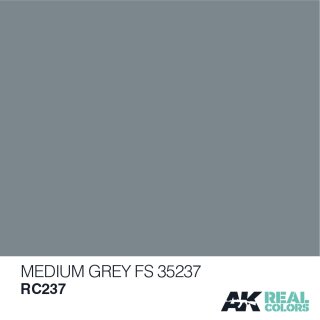 AK Real Colors Medium Grey FS 35237 (10ml)