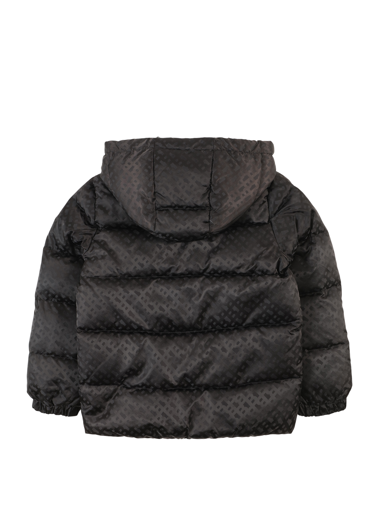 Winter Jacket