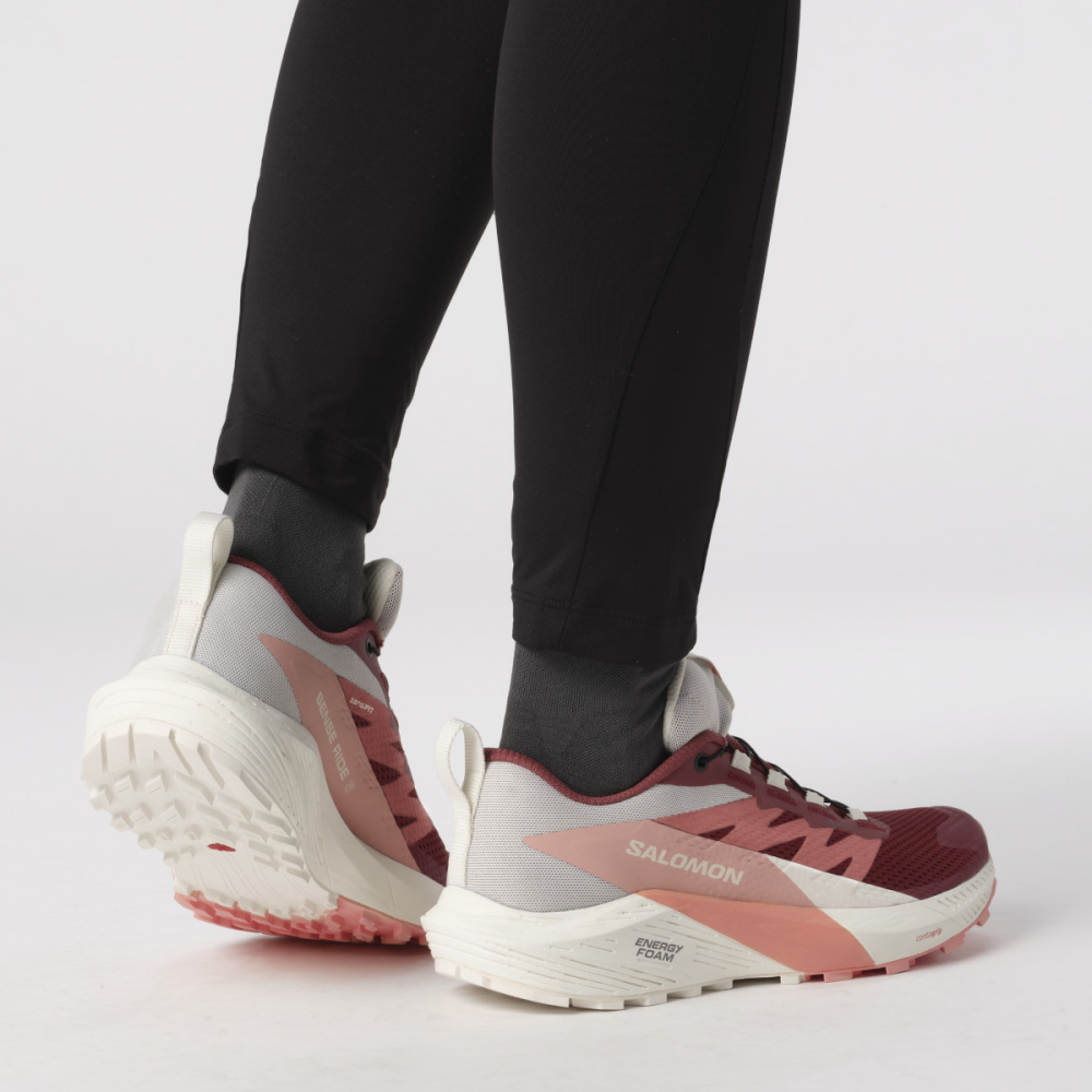 Salomon Sense Ride 5 GTX L47314500 / rot
