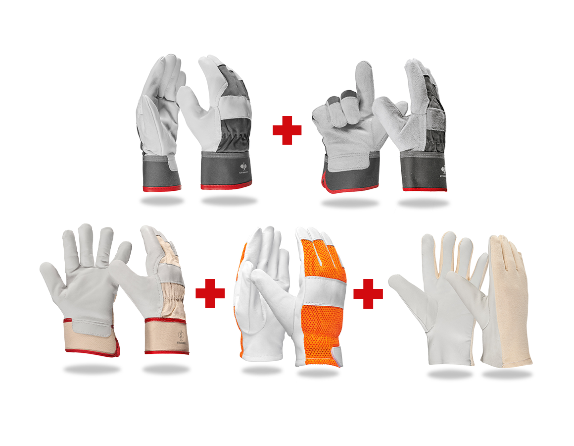 Handschuh-Profi-Set Leder II