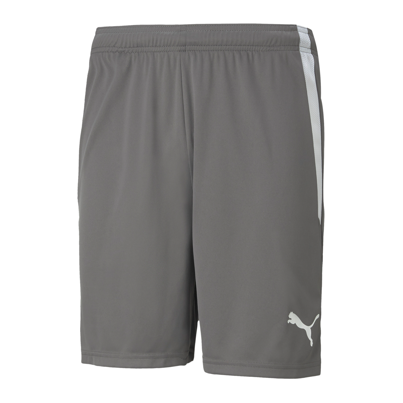 PUMA teamLIGA Short Grau Weiss F13