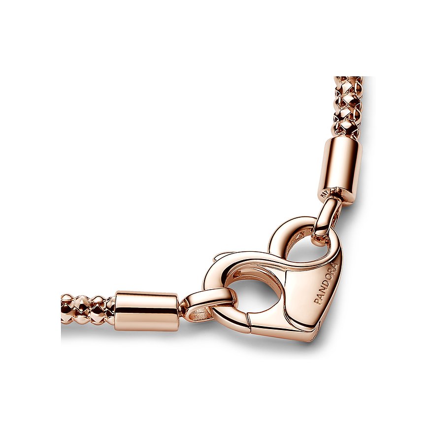 Pandora Armband Moments