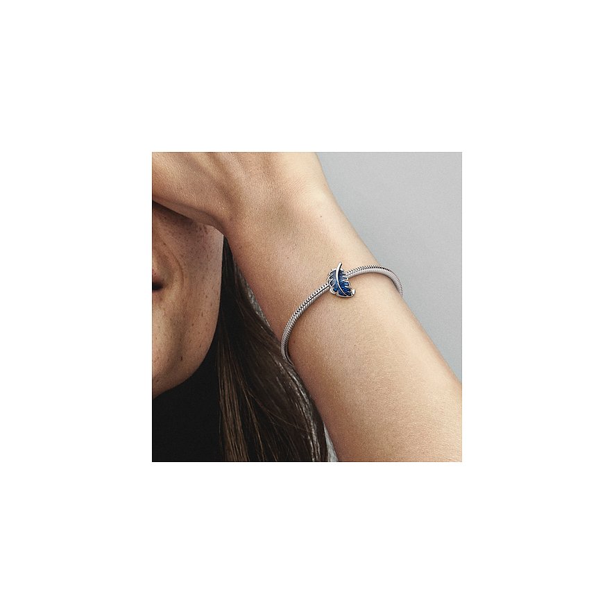 Pandora Charm Moments
