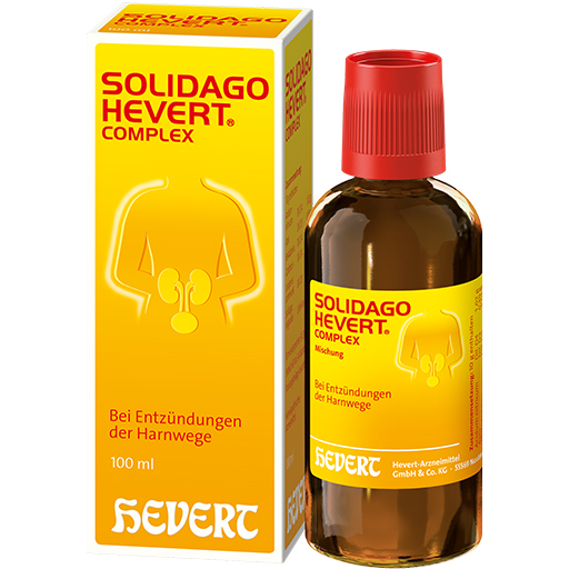 SOLIDAGO HEVERT Complex Tropfen  100 ml  Tropfen