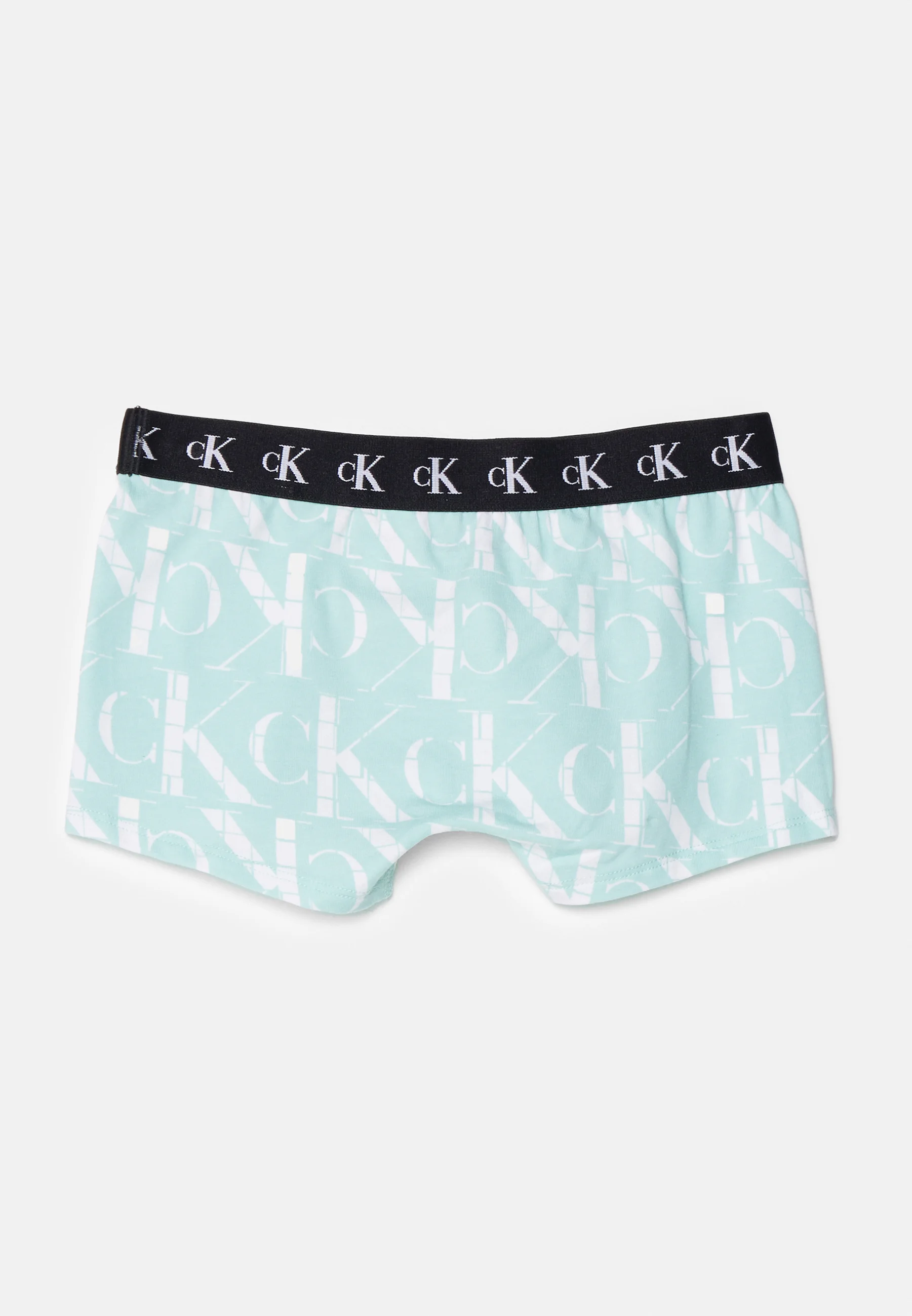 Calvin Klein Underwear TRUNK PACK DE 2 - Culotte