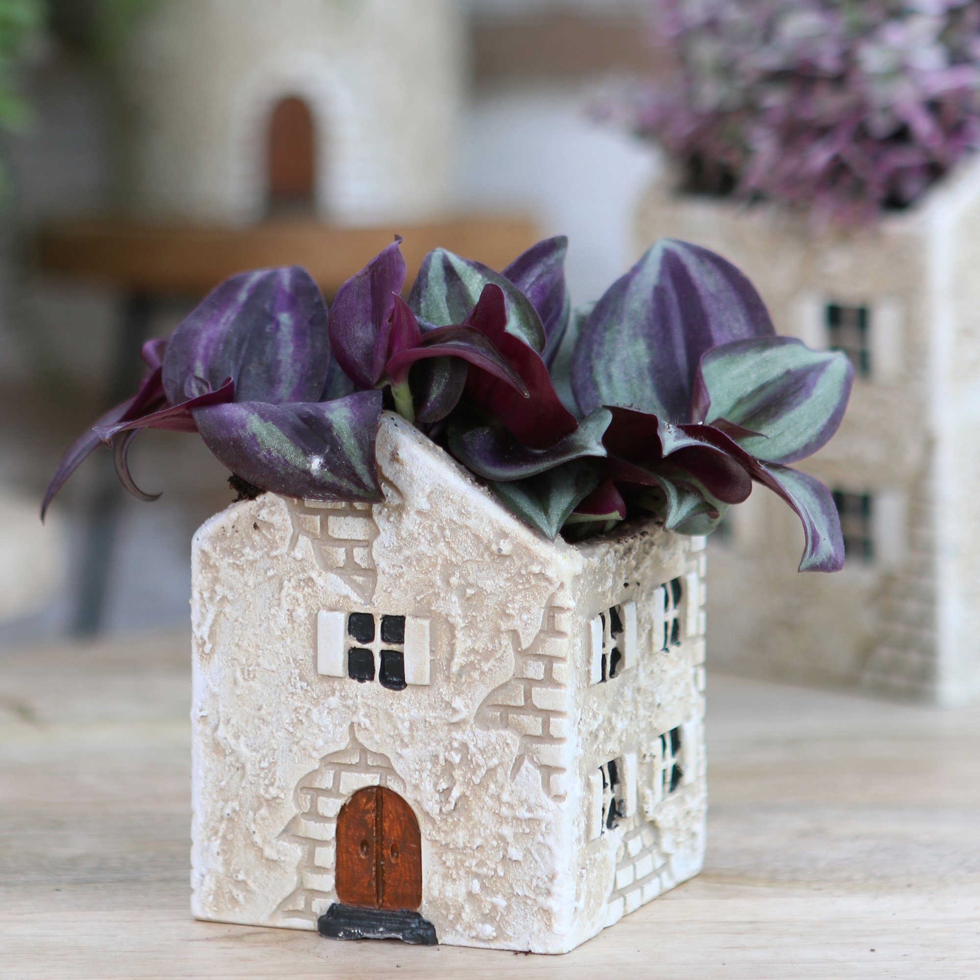 Annastore Übertopf Blumenübertöpfe in witzigem Design (Übertöpfe für Zimmerpflanzen), Blumentöpfe - Übertöpfe aus Keramik - Lustige Blumentöpfe