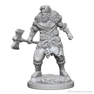Human Male Babarian: D&D Nolzurs Marvelous Unpainted Minis