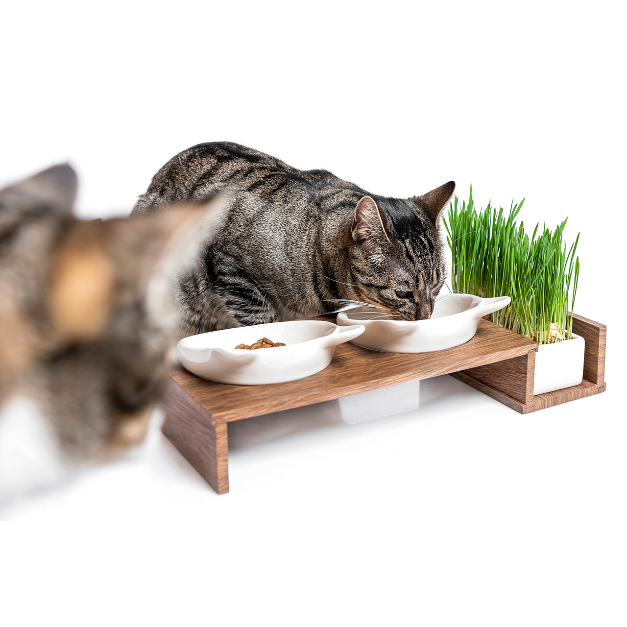 Canadian Cat Company Futternäpfe Canadian Cat Company Futterbar Cat Diner braun/ beige