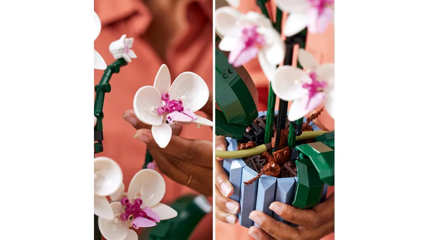 LEGO Icons 10311 Orchidee, Set für Erwachsene mit künstlichen Pflanzen