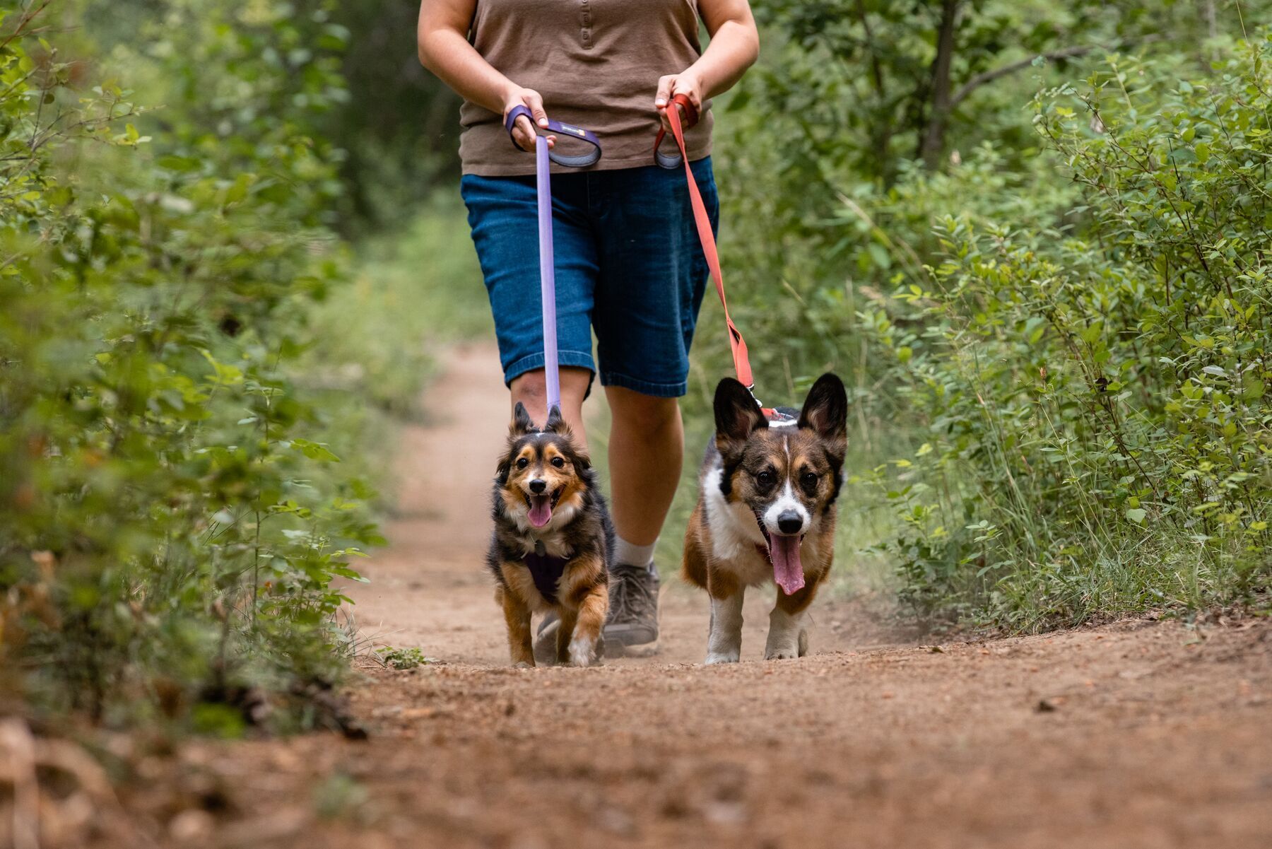 Ruffwear Hundeleinen Ruffwear Front Range™ Leine violett