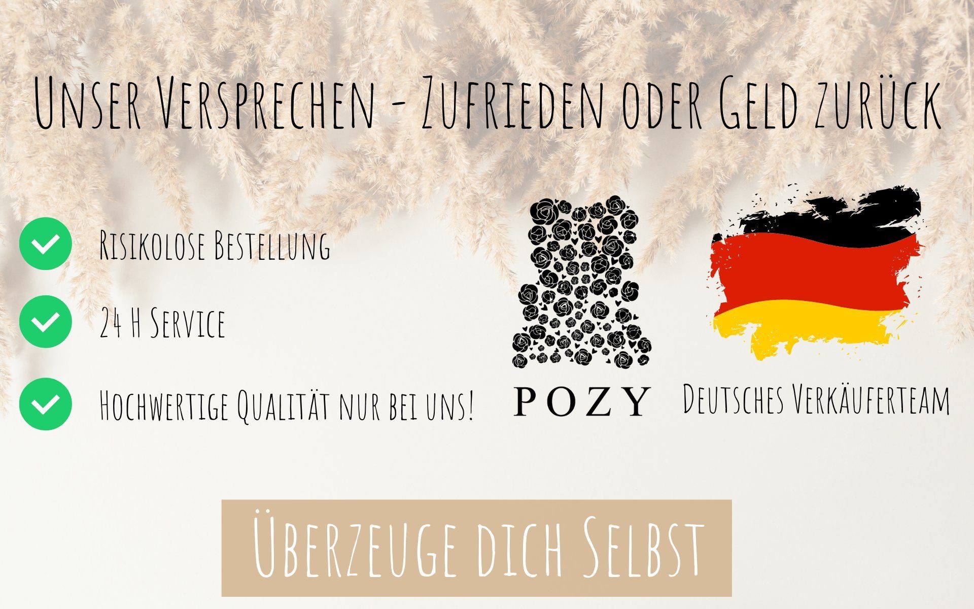 Trockenblume Pampasgras getrocknet mit schützender Box [ca. 30 Stück] Pampasgras, POZY®, Höhe 45 cm, Jahrelang Haltbar - besonders Fluffig